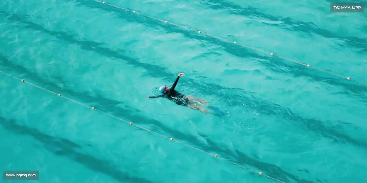 行业领先的理由